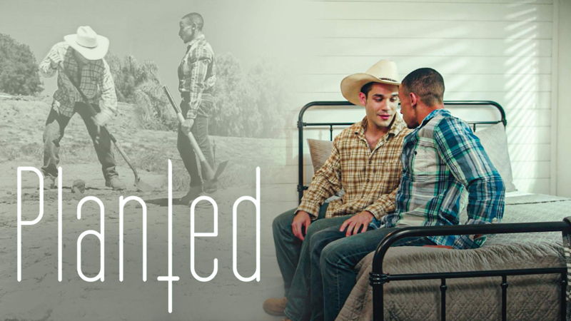 Planted - Andrew Miller and Jimmy West